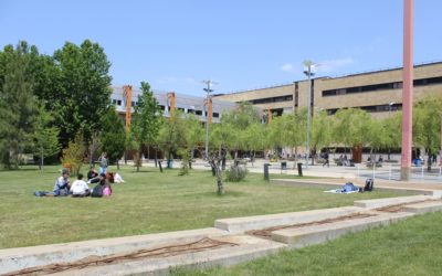 Imprescindibles universitarios en Salamanca: campus, bibliotecas y deporte